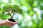 Forest Science